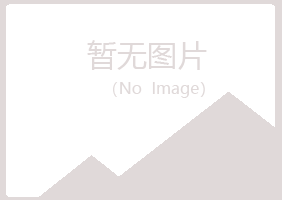 河池沛菡水泥有限公司